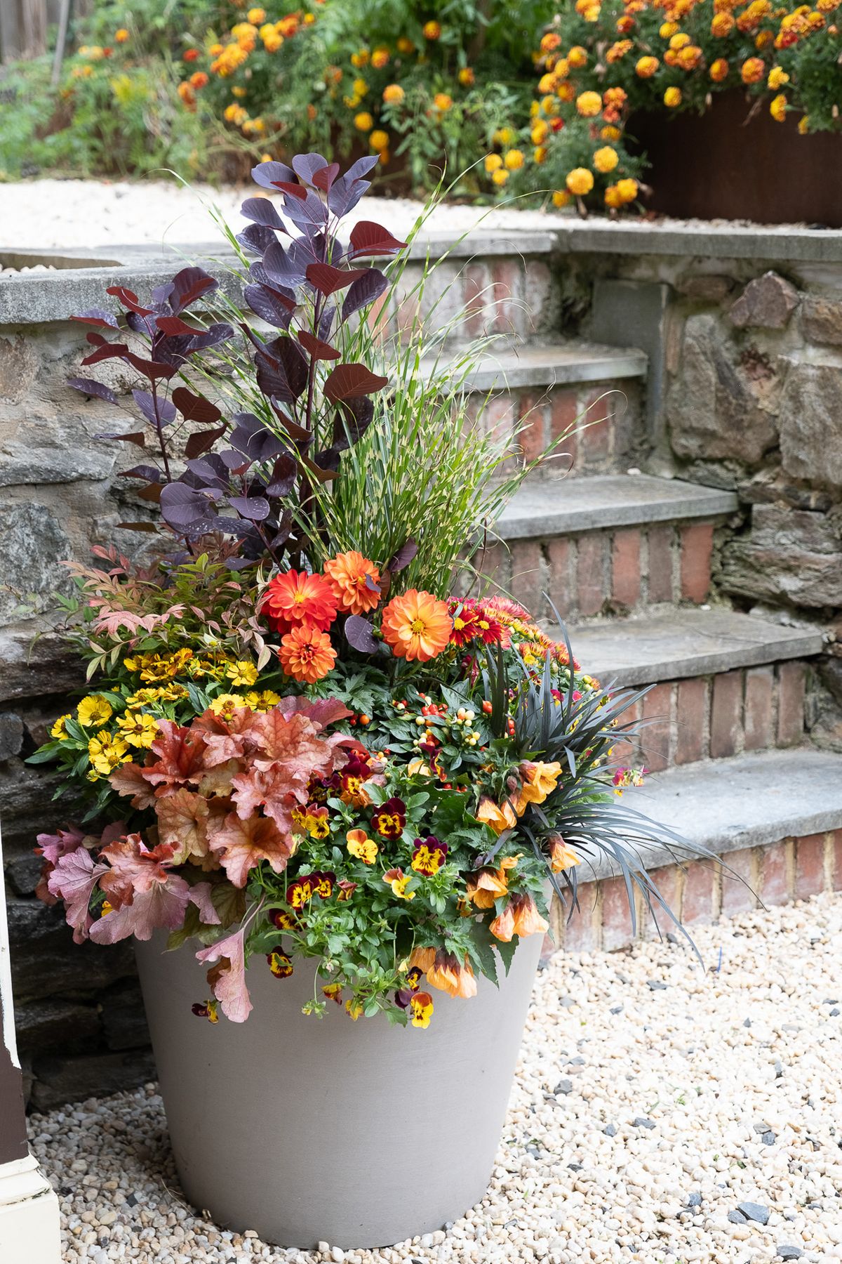 Enliven Planters fall container arrangement